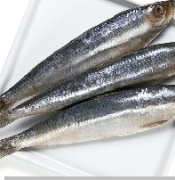 Sardinha