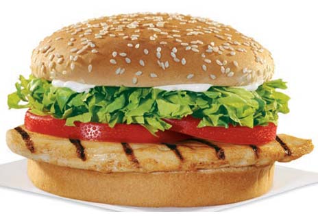 242-hamburguer568cal-09