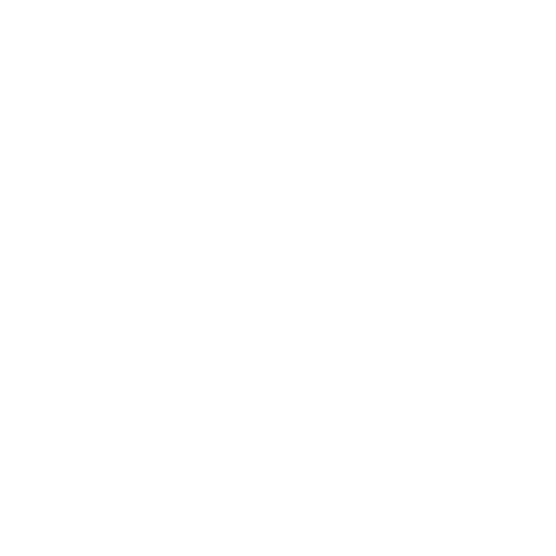 Zingy_logo_branca2