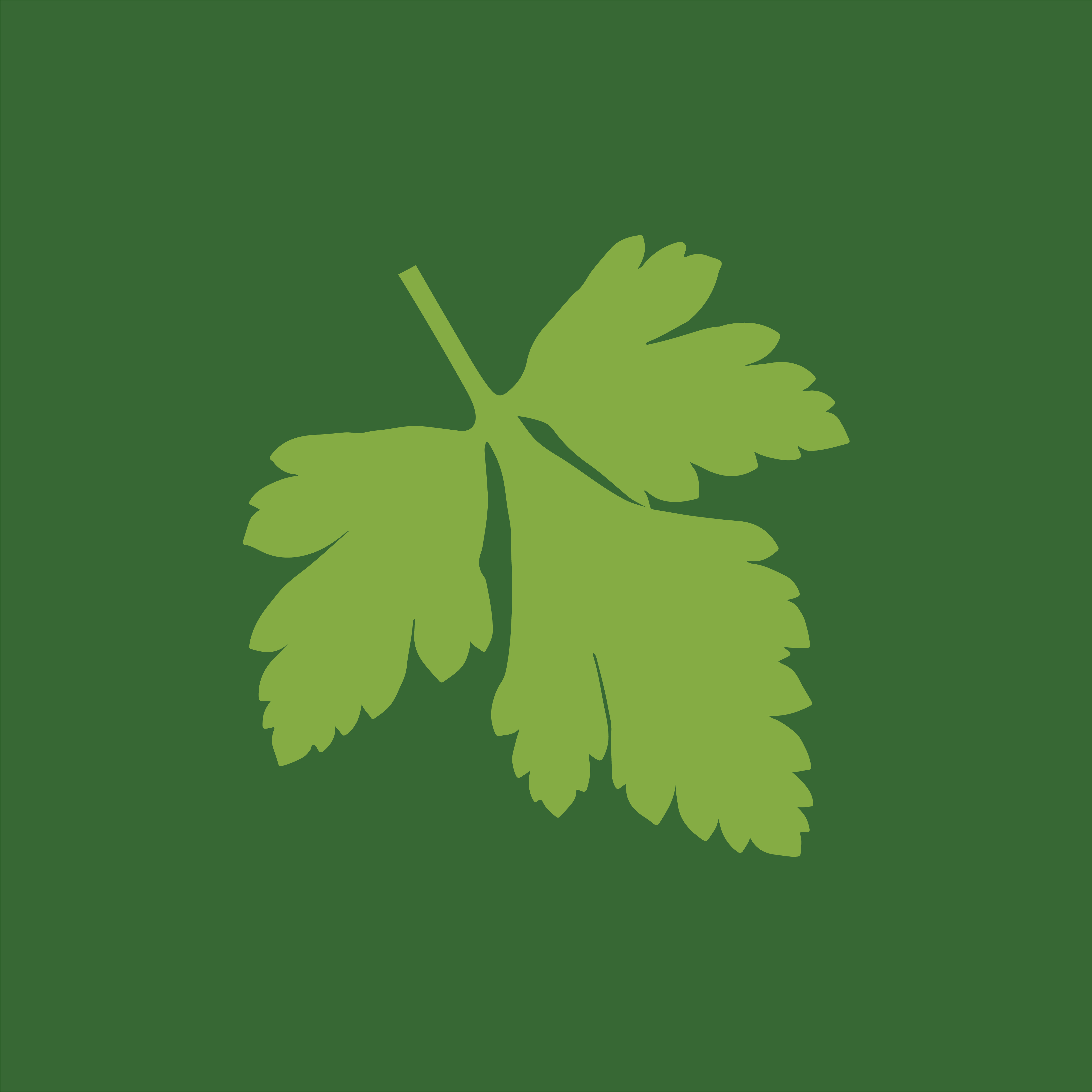 _cone_-_colorida_-_fundo_verde_9x__2_