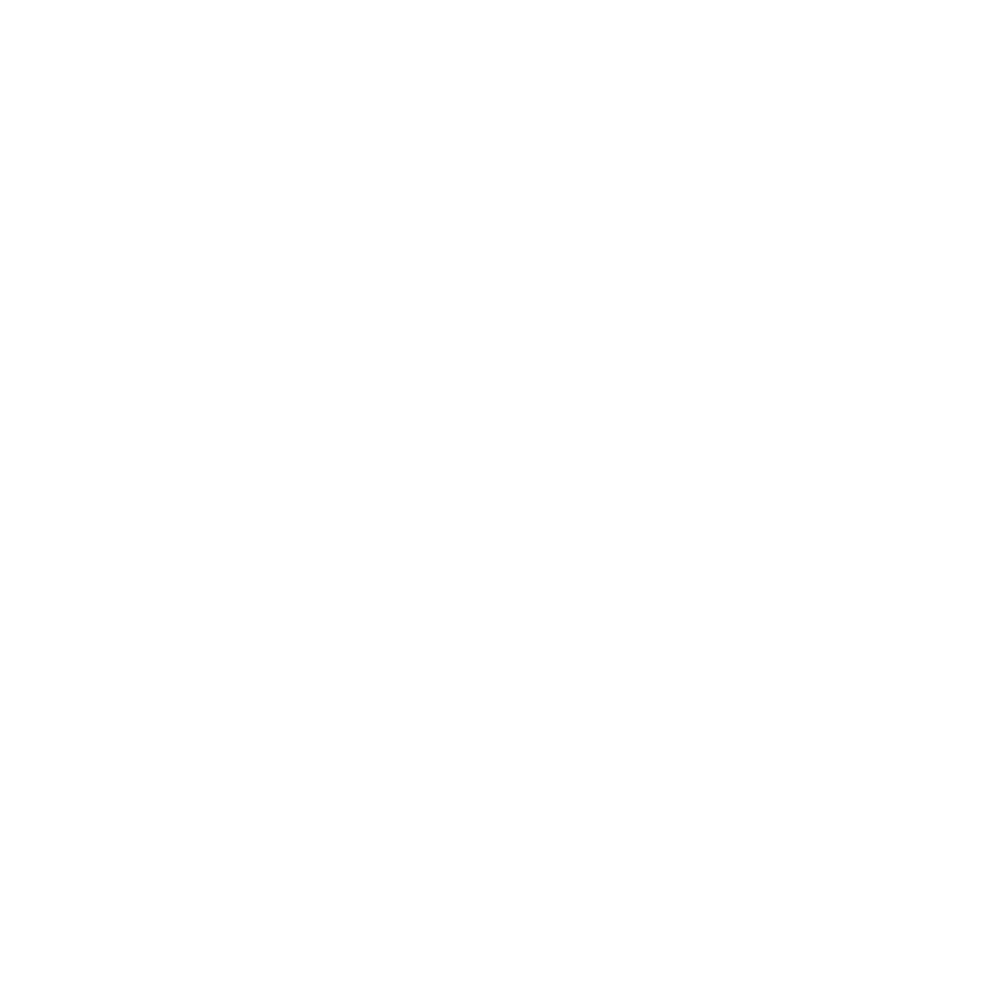 Boi_and_beer_logo_v